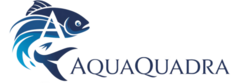 aquaquadra.com.br